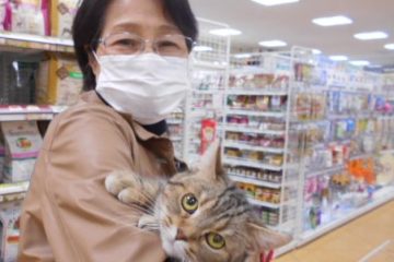 京都  わんにゃんさとおや会 保護犬猫の里親募集・譲渡会開催中 
